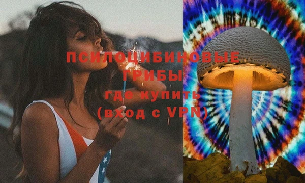 дурь Вязники